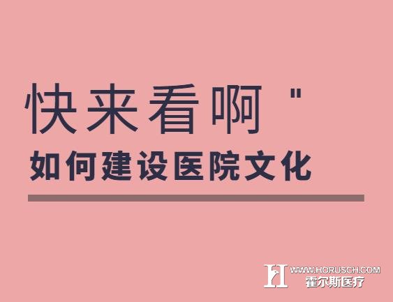 霍尔斯,医院文化