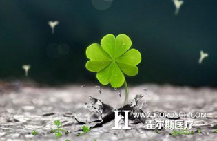 当你在“大医院”就诊时 你就该警醒了！
