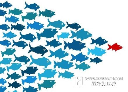 医院领导力