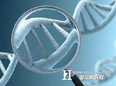 中版精准医疗将“上线”