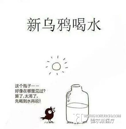 《新版乌鸦喝水》，又有多少人明白我这辈子都干了