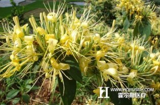 中华医学会整改在即 “食药监总局”也需整改?