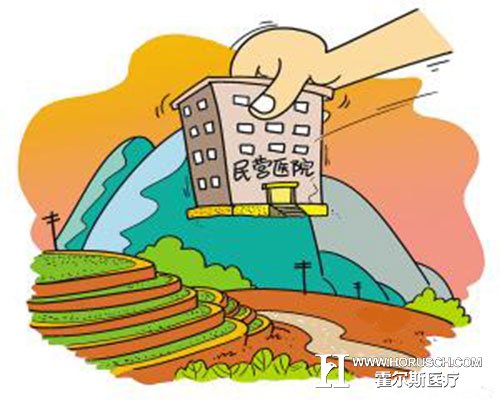 民营医院发展的重点是······