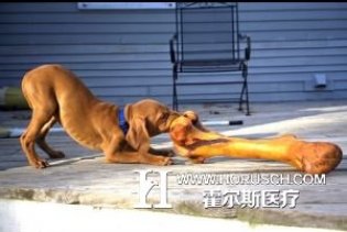 医疗落地这块难啃的硬骨头，互联网企业是否有能力