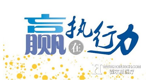 医院执行力 医院执行力