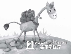 医院管理 医院管理