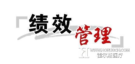 医院绩效管理 医院绩效管理