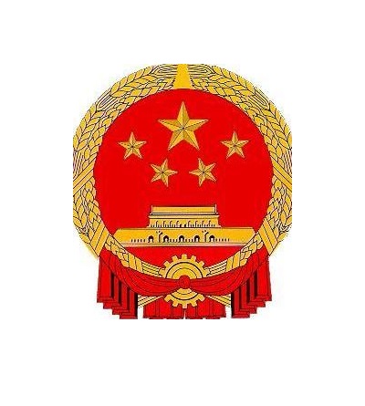 《关于推进医疗联合体建设和发展的指导意见》