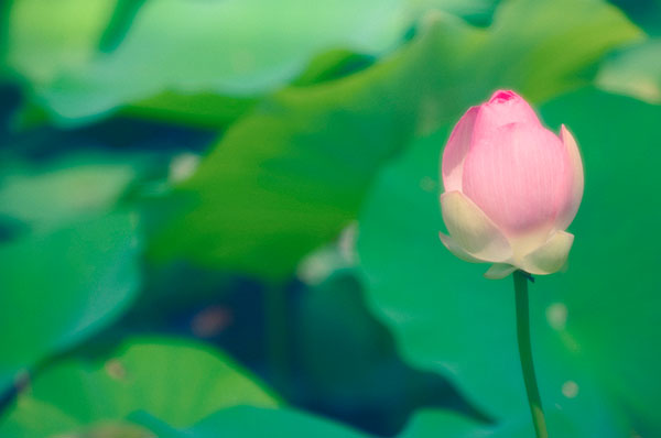 医院管理：这一细节导致医院止步不前