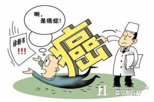 以肉食为主食易患癌？