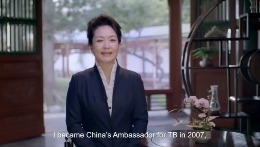 彭丽媛在联合国大会上发表讲话，呼吁大家关注此事