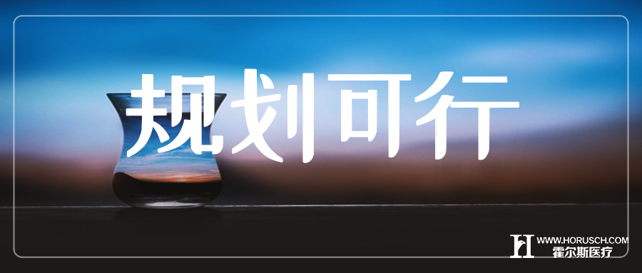 真庆幸看到这份筹建计划书 霍尔斯智库 医院管理
