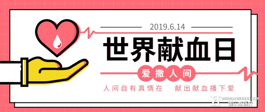霍尔斯