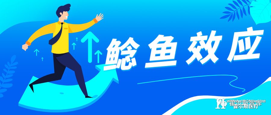 医院如何管理,院长如何管理好医院,医院市场营销策划方案,医院运营管理,医院管理模式有哪几种 医院如何管理,院长如何管理好医院,医院市场营销策划方案,医院运营管理,医院管理模式有哪几种