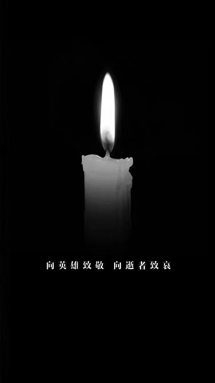 致敬英雄，缅怀逝者，愿疫情早日结束！